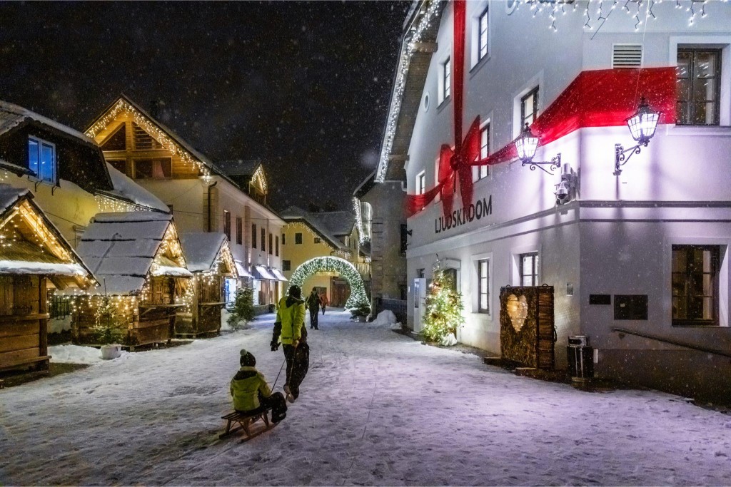 Alpska-Vasica-Kranjska-Gora-